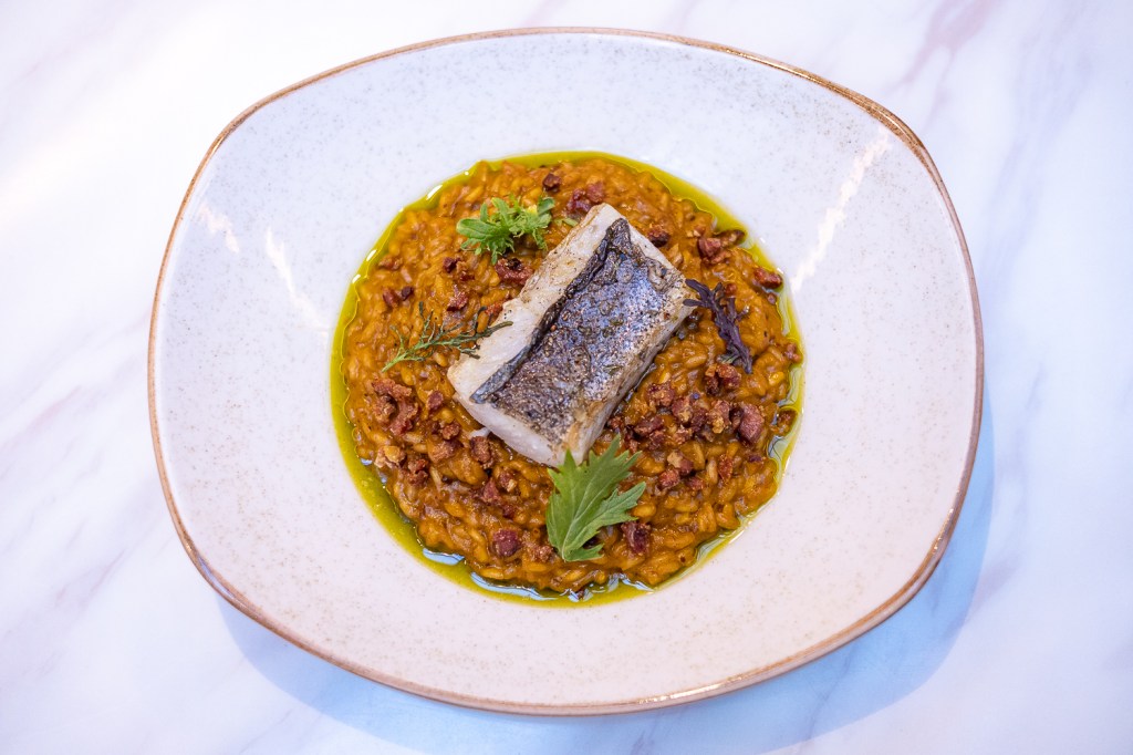 Fotos en CV&nbsp;Galería