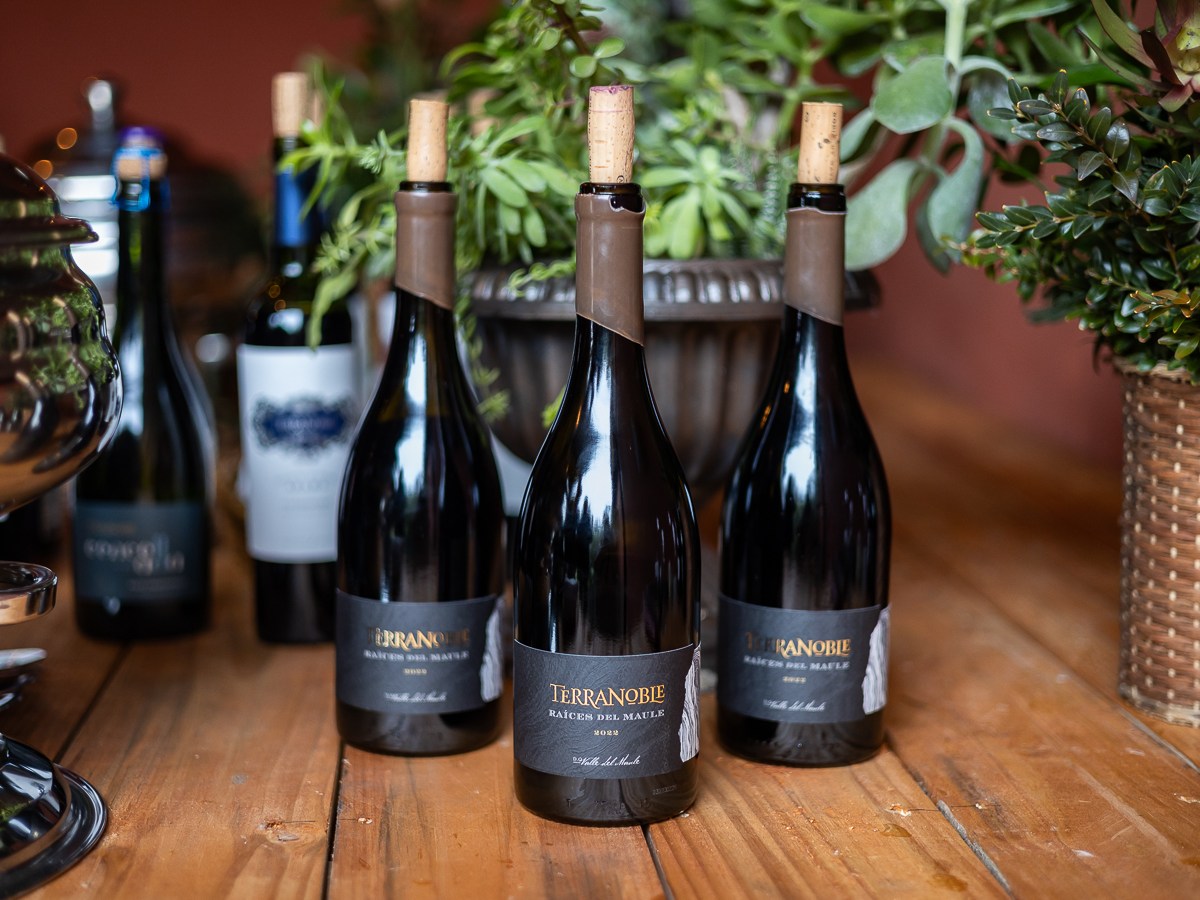 Viña Terranoble y su nuevo vino «Raíces del&nbsp;Maule»
