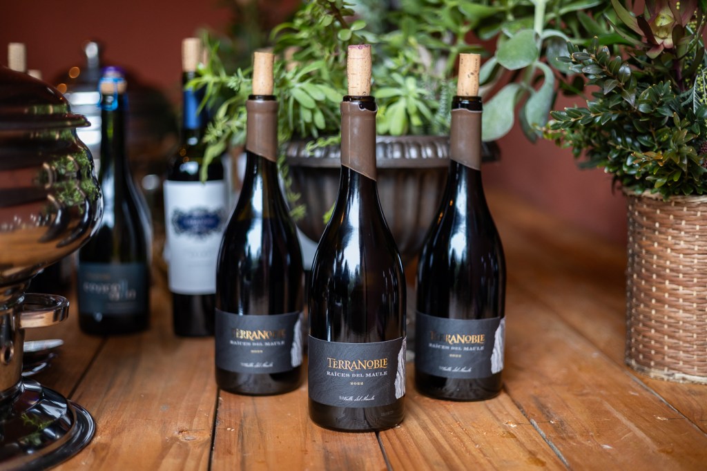Viña Terranoble y su nuevo vino «Raíces del&nbsp;Maule»