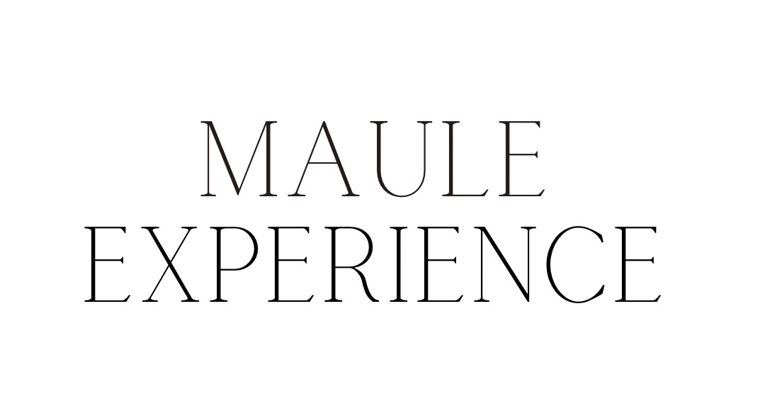Maule Experience: La gastronomía maulina a la conquista del mundo
