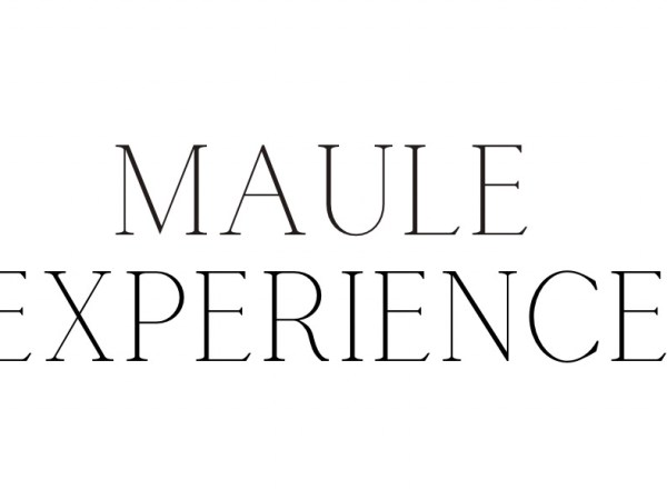Maule Experience: La gastronomía maulina a la conquista del&nbsp;mundo
