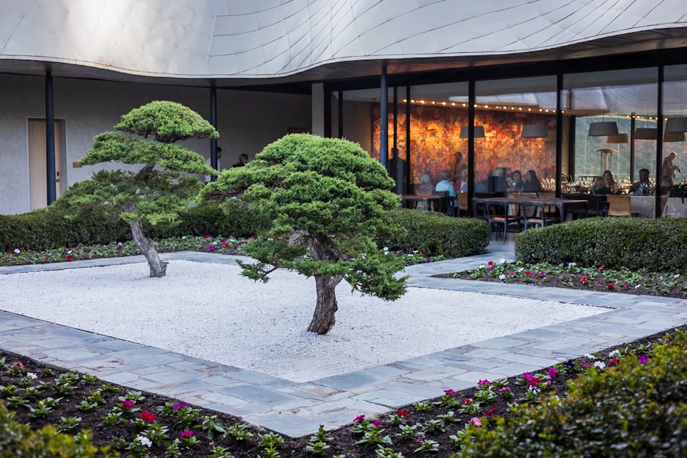 Experiencias en Viña Vik: Un Sueño&nbsp;Cumplido