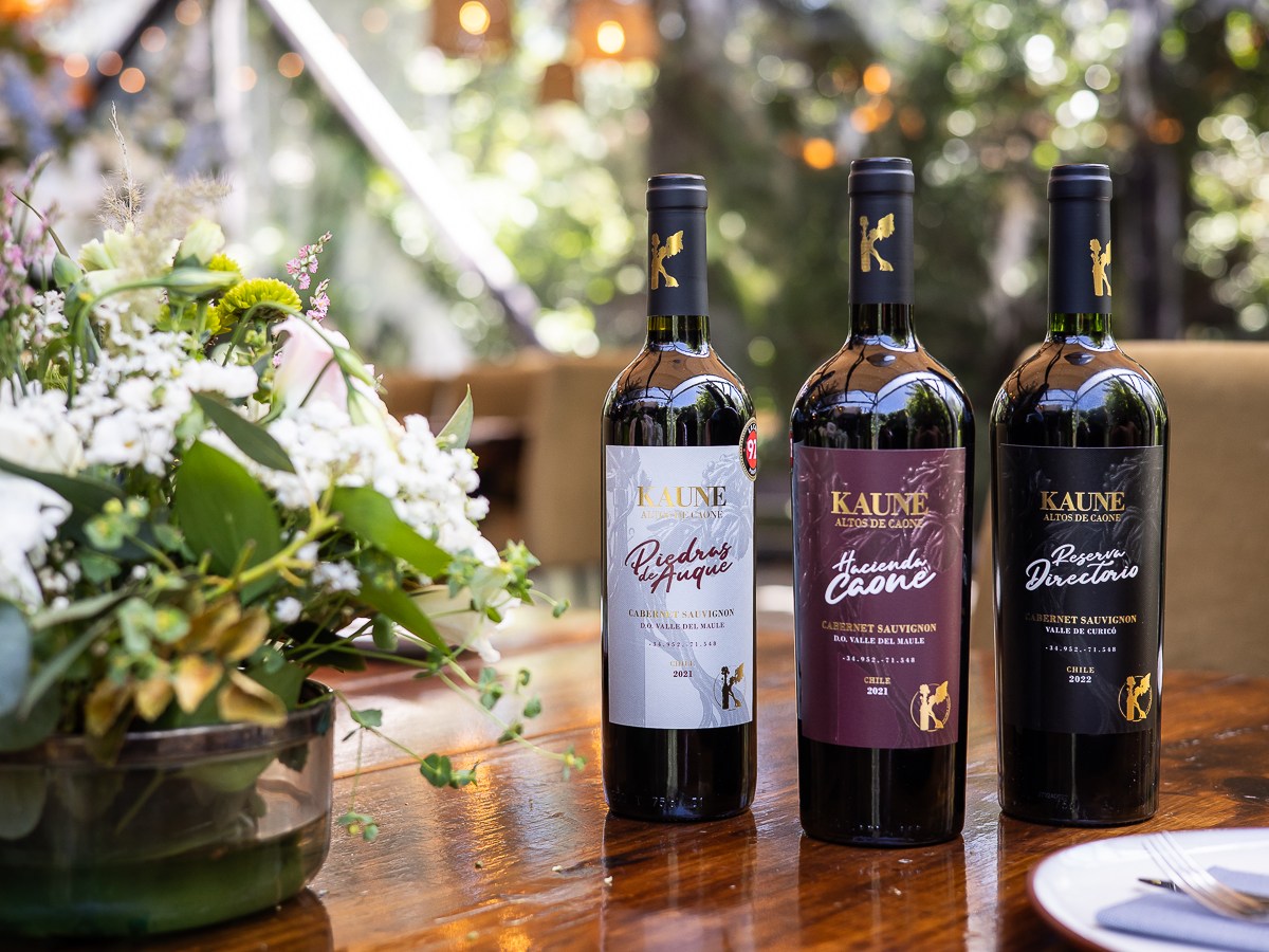 Gastronomía y Vinos en Restaurante&nbsp;Ambrosía