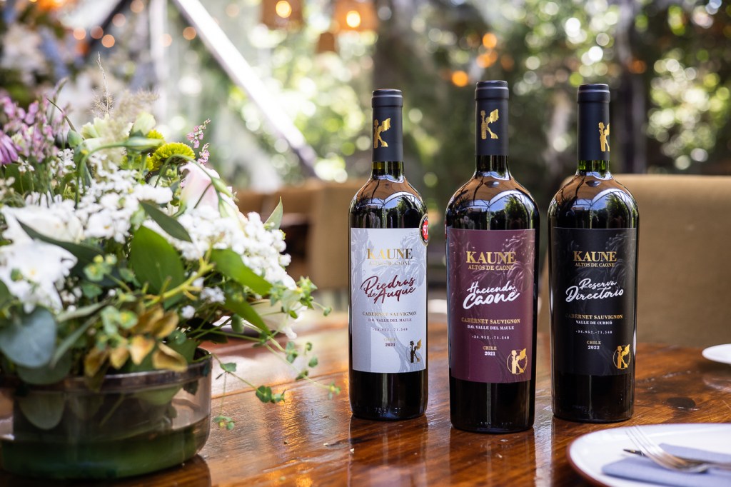 Gastronomía y Vinos en Restaurante&nbsp;Ambrosía