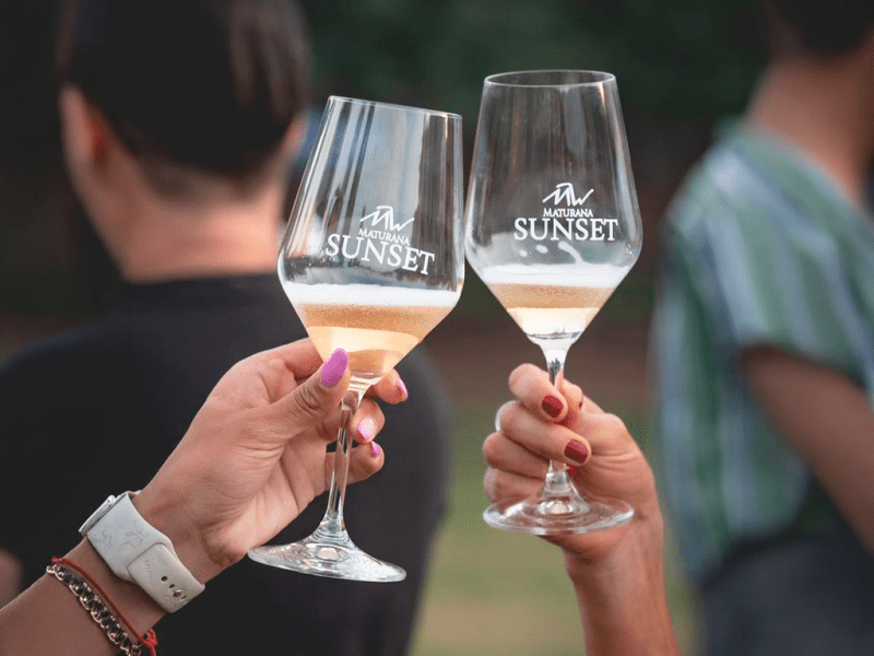 Maturana Sunset Festival celebra su sexta edición reuniendo a más de 3 mil personas en el Valle de&nbsp;Colchagua