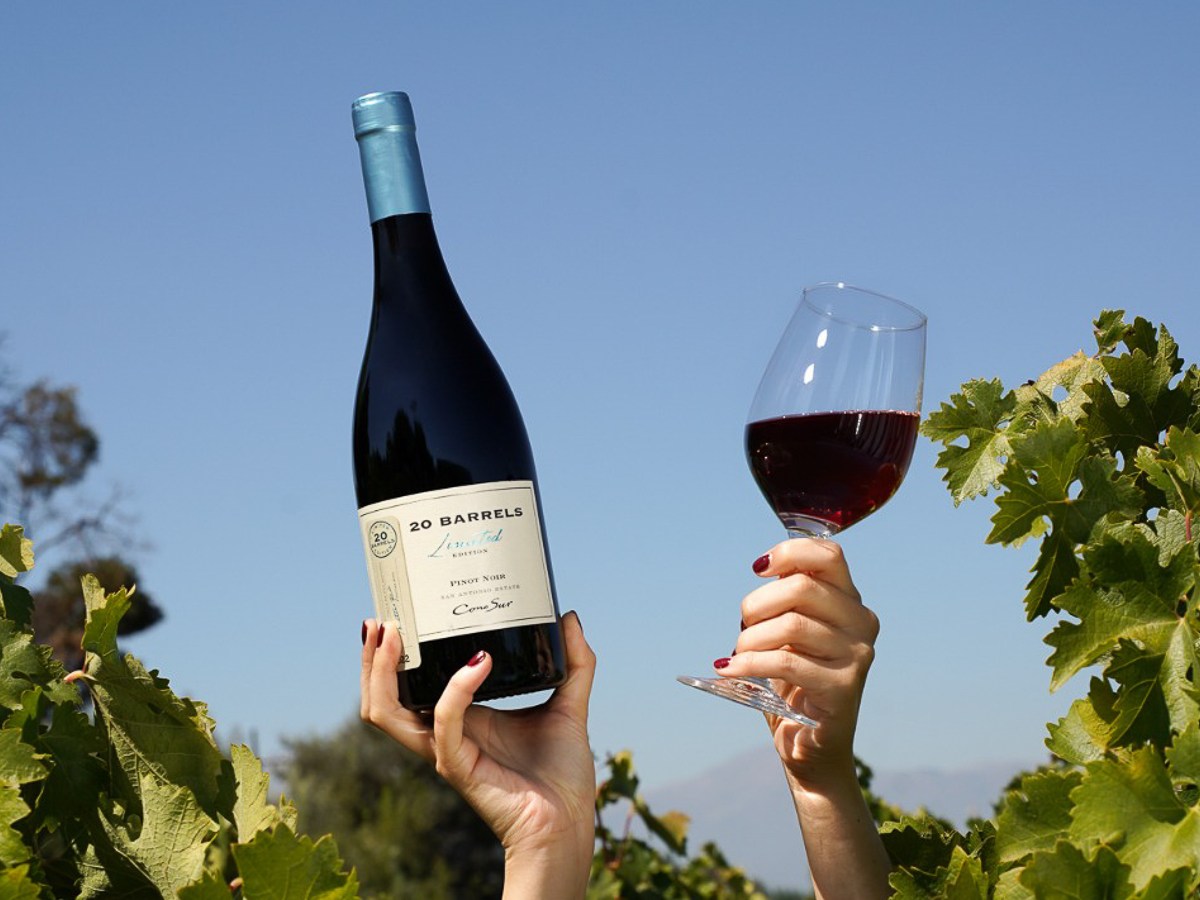Tintos con carácter: Por qué el Carmenere y el Cabernet son los imprescindibles de la&nbsp;estación